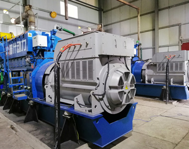 丰都甘泰沼气发电项目配球友会平台2台850KW/10.5KV6极高压发电机